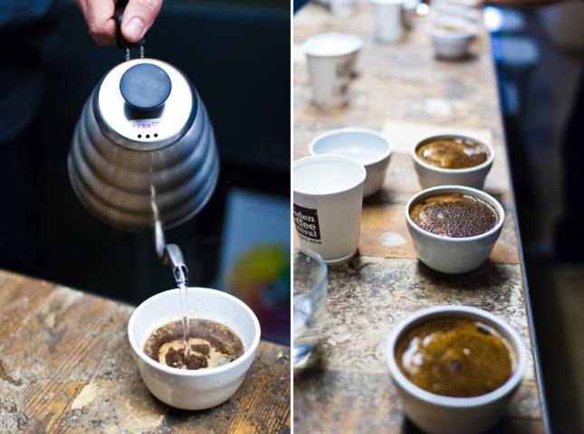 Ozone Coffee Cupping Experience